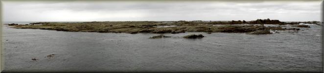 Kaikoura zeehandenkolonie