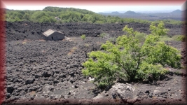 Onder lava bedolven huizen