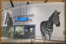 O.R. Tambo International Airport