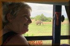 Olifant vanuit de Safaritruck