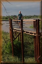 "Treetop Walk" in MANPUNGUBWE NP