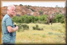  olifant tijdens ochtend-wandeling
