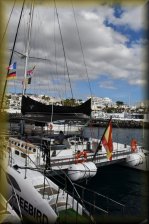 Freebird 15 