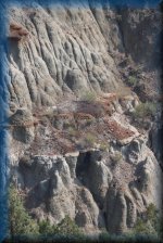 Boicourt Overlook Trail