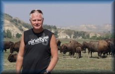 bisons
