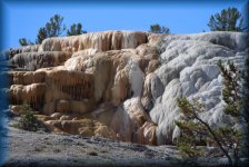 Mammoth Hot Springs