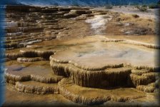 Mammoth Hot Springs