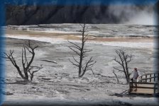 Mammoth Hot Springs