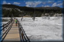 Mammoth Hot Springs