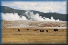 Grand Prismatic Spring