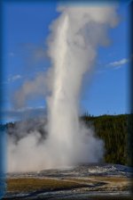 Old Faithful