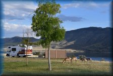 Lucerne Campground, plek A11
