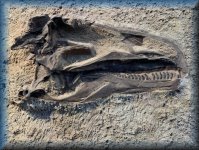 DINOSAUR NATIONAL MONUMENT