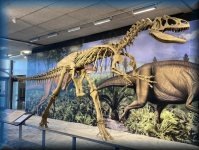 DINOSAUR NATIONAL MONUMENT