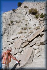 DINOSAUR NATIONAL MONUMENT