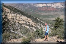 Canyon Overlook