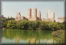Central Parc
